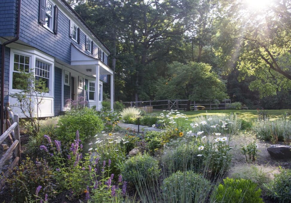 Contemporary front entry planting, designed and built by Green Jay Landscape Design.