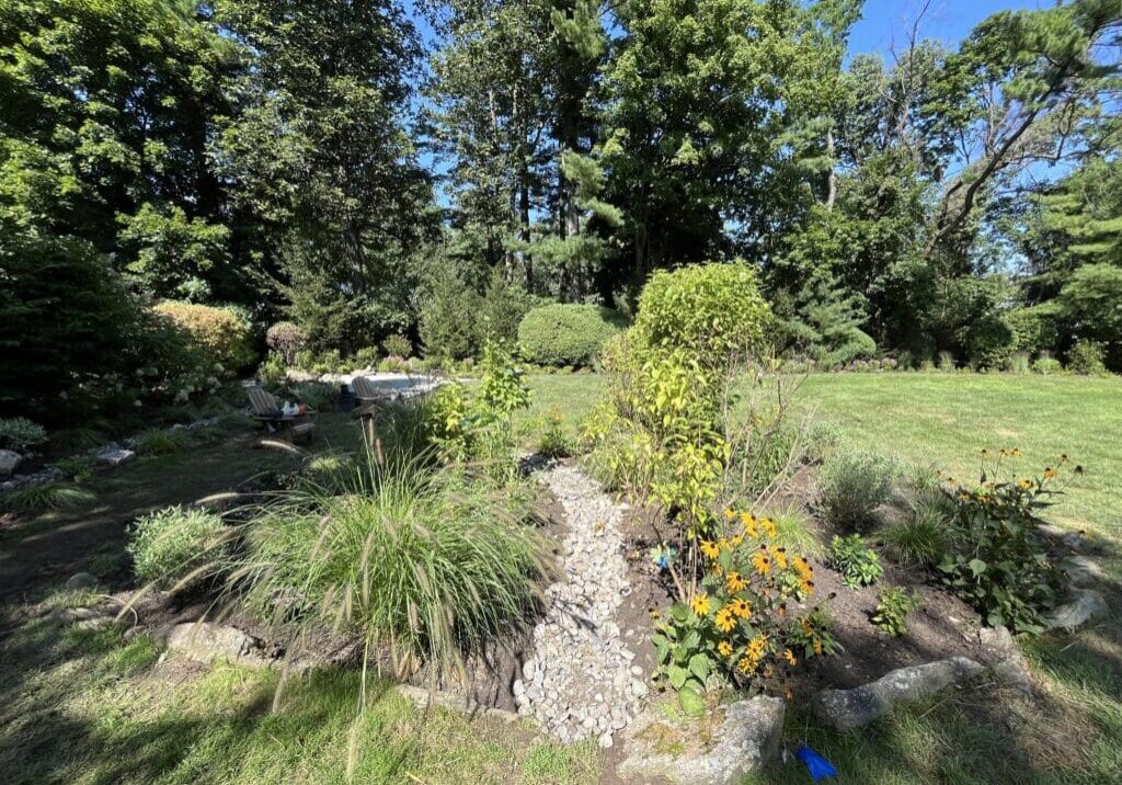 Bioswale directs stormwater through native plant bed.